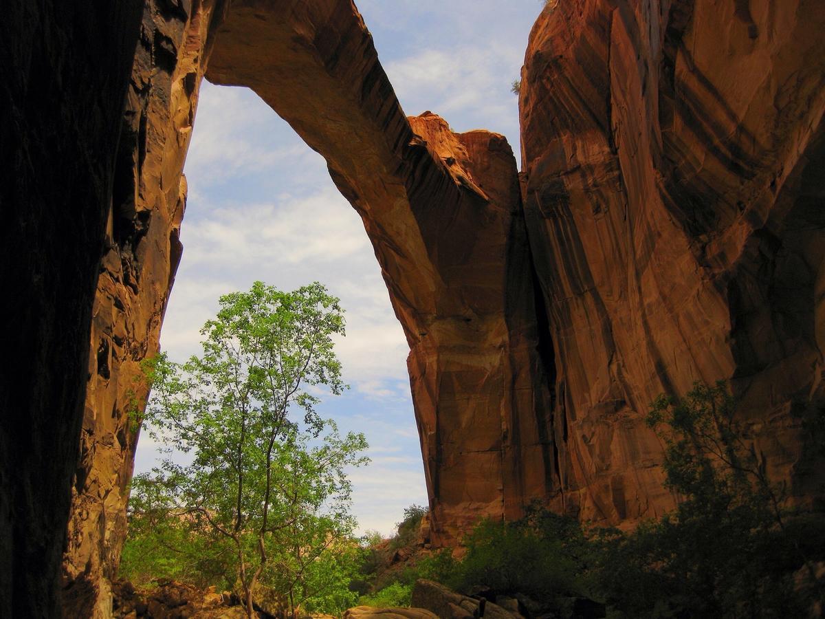 Canyon Country Lodge Escalante Dış mekan fotoğraf